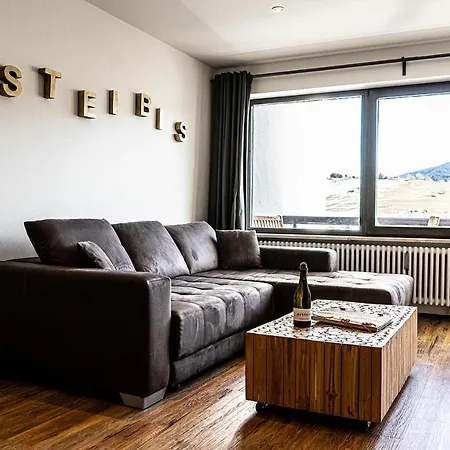 Apartment Steibis Ruh *